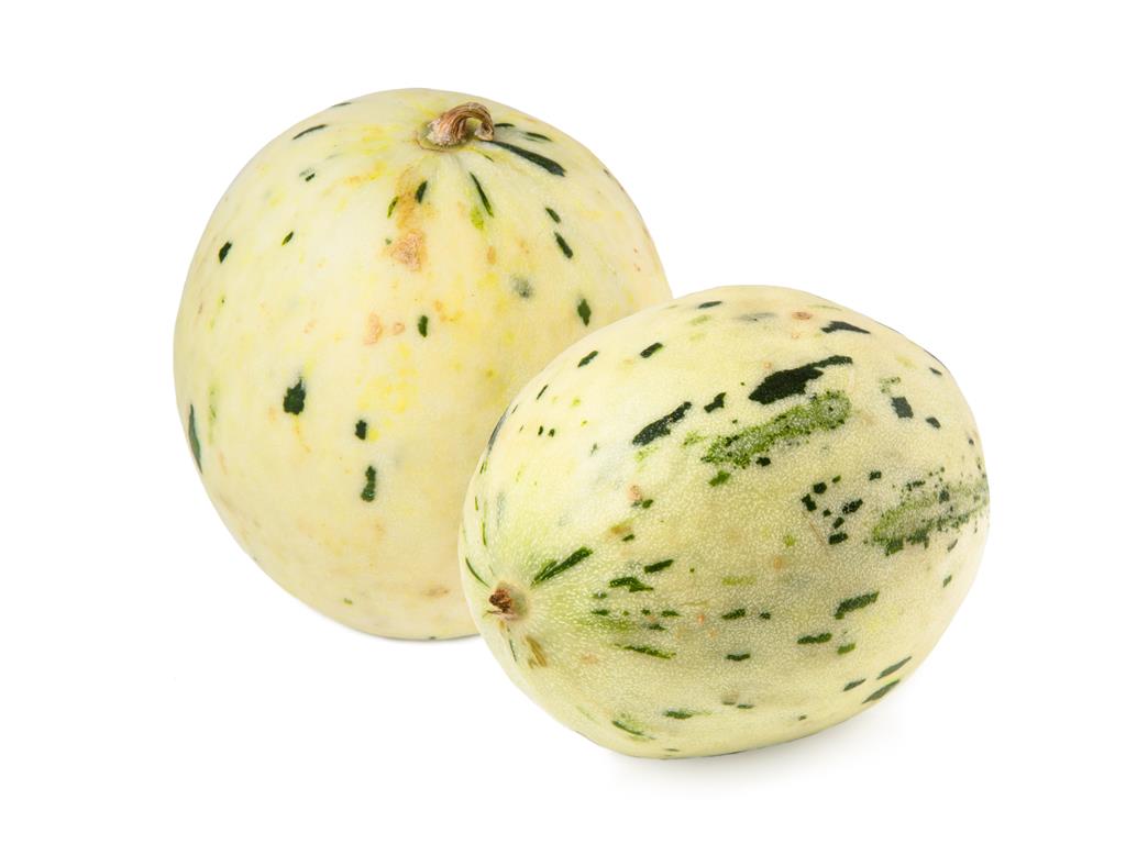Melon 56-2625 Dalmata WIS white with green spots orange flesh